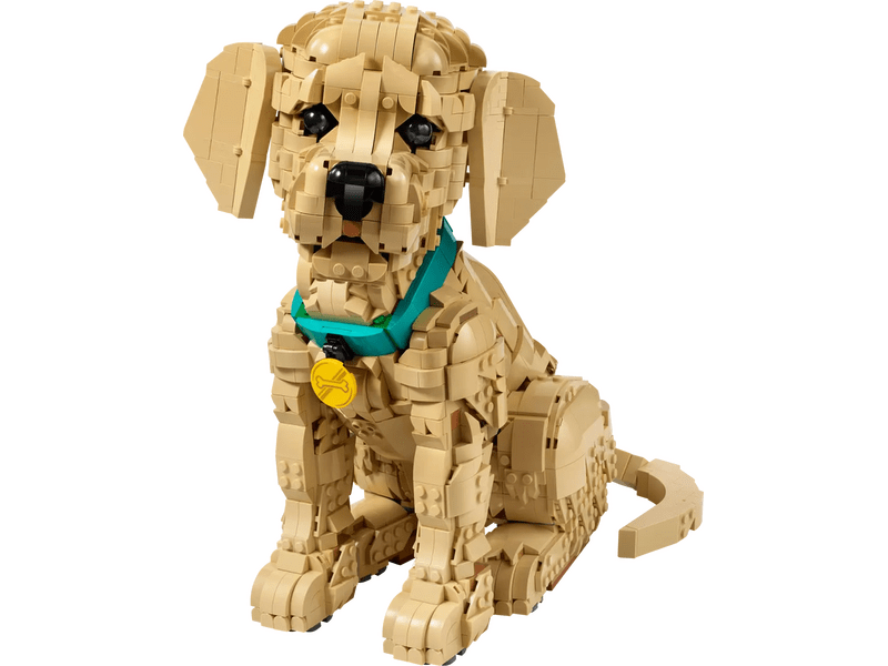 LEGO® Icons Golden retriever kutyus (11384)