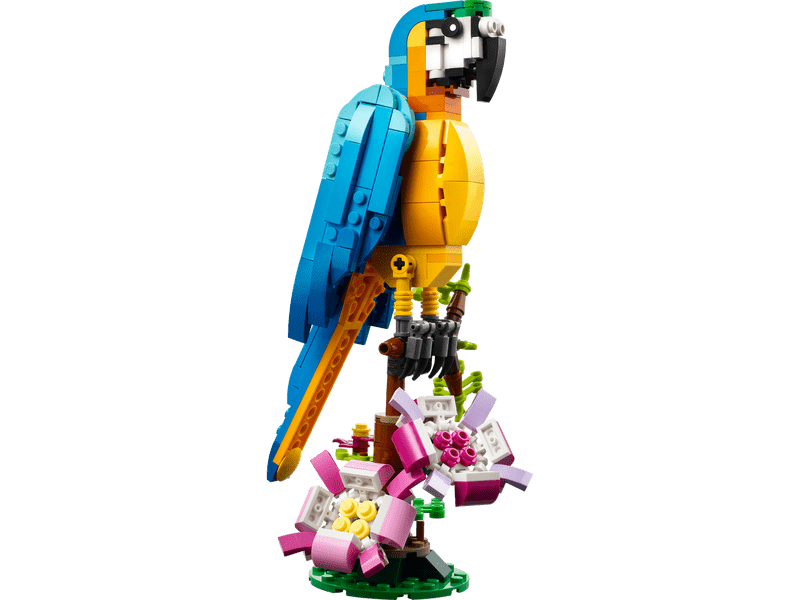 LEGO® Creator Egzotikus papagáj (31136)