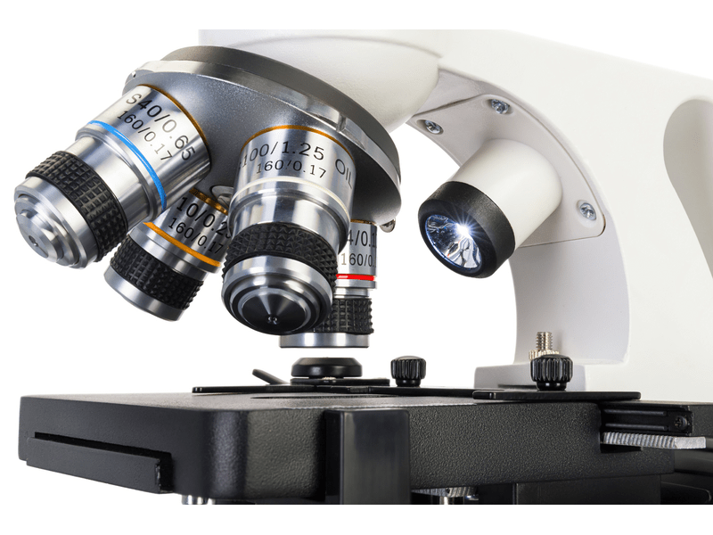 Levenhuk Discovery Atto Polar mikroszkóp és könyv (79223)