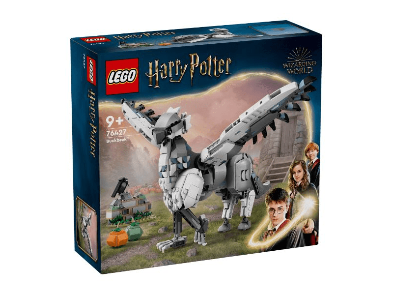 LEGO® Harry Potter™ Hogwarts™ (76427)