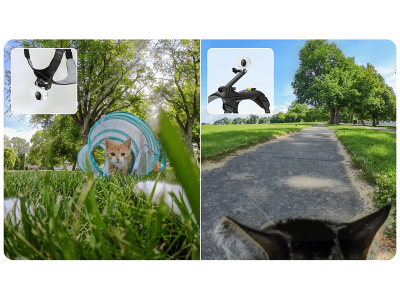 Insta360 GO 3/GO 3S kamerarögzítő kisállat hám, S méret (CINSBAVX)