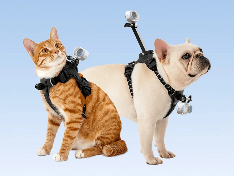 Insta360 GO 3/GO 3S kamerarögzítő kisállat hám, M méret (CINSBAVW)