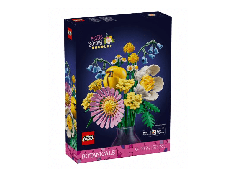 LEGO 10347