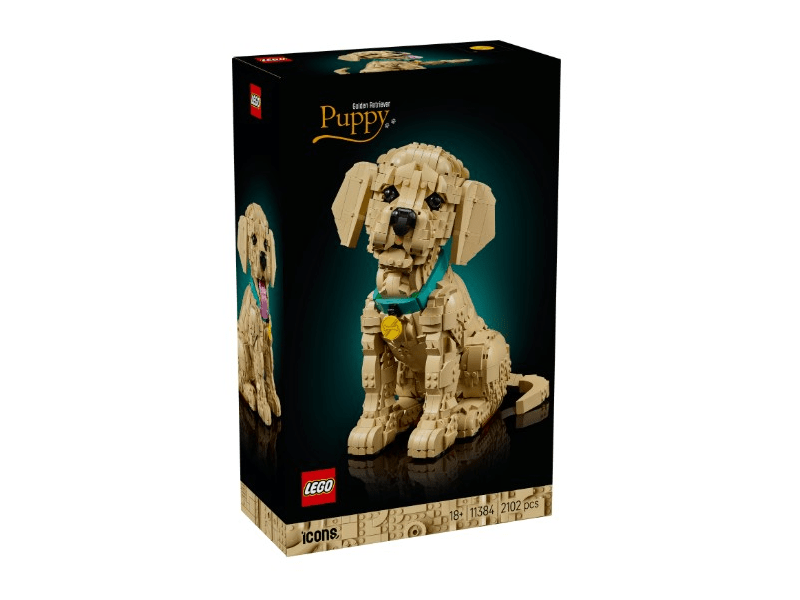 LEGO® Icons Golden retriever kutyus (11384)