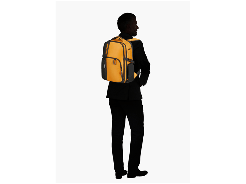 Samsonite Biz2go Daytrip 15.6