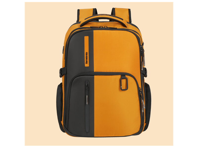 Samsonite Biz2go Daytrip 15.6