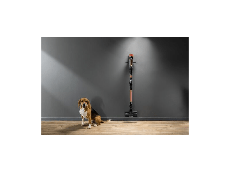 Rowenta RH7A73E0 X-Force Flex 10.80 Animal ručni usisavač