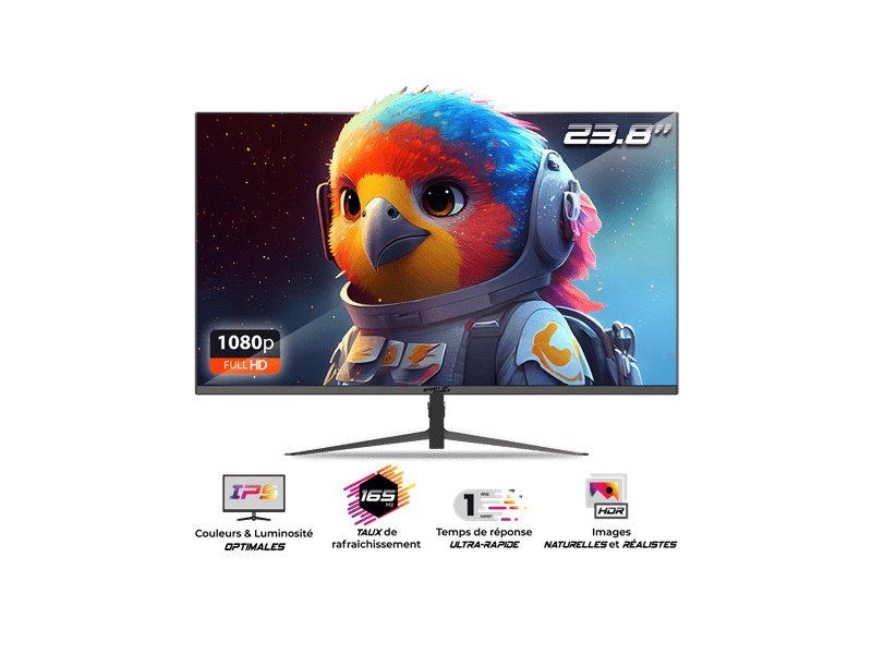 Spirit of Gamer SOG-E24I165 Epic 23,8