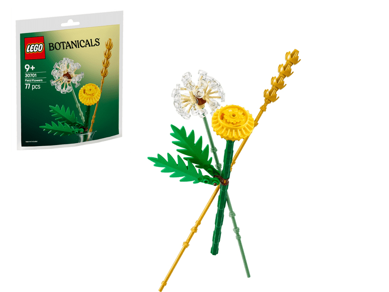 LEGO® Botanicals Divlje cvijeće (30701)