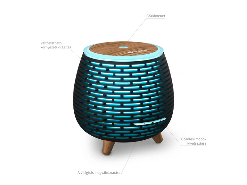 TrueLife D4 ultrahangos párásító, fekete (TLADMAIRDD4BA)