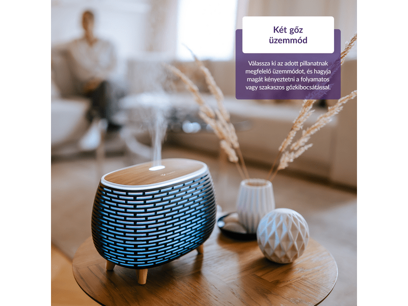 TrueLife D6 ultrahangos párásító, lila (TLADMAIRDD6BA)