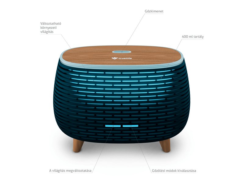 TrueLife D6 ultrahangos párásító, lila (TLADMAIRDD6BA)