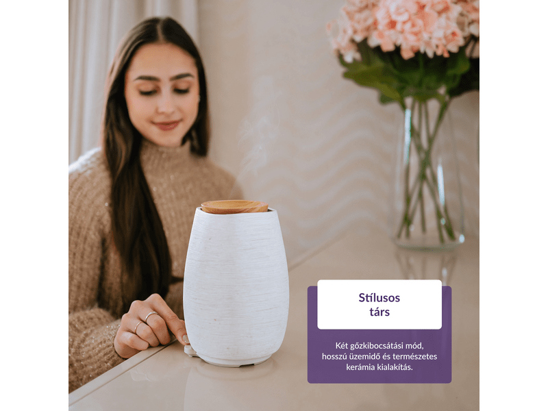 TrueLife D8 ultrahangos párásító (TLADMAIRDD8WA)